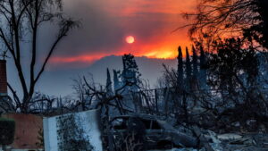 nancy-altadena-dispatch.jpg-e1762711442424